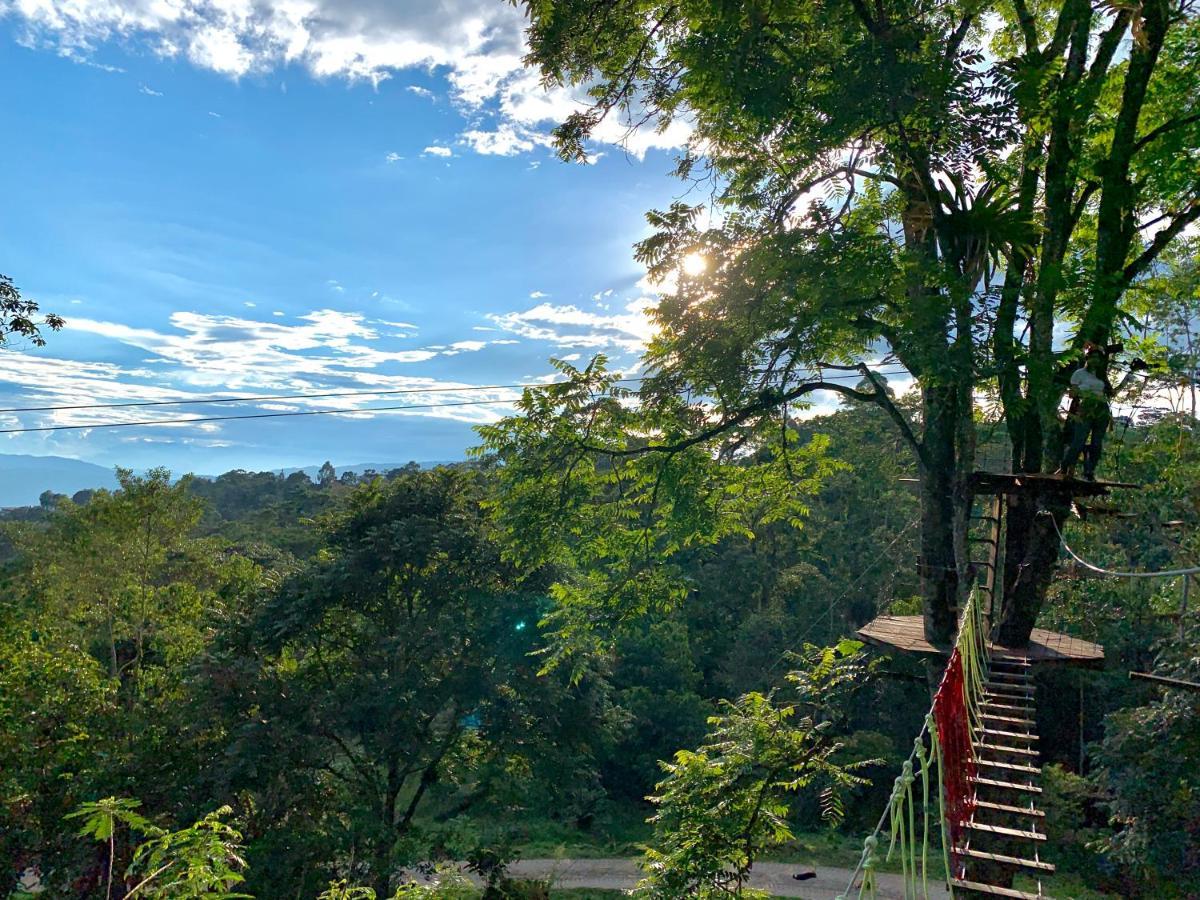 Hotel Bosque De Aventura & Glamping Refugio Del Bosque La Mesa  Exterior foto
